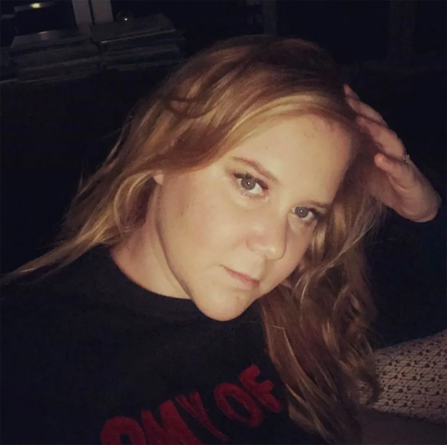 Amy Schumers Funniest Quotes About Pregnancy