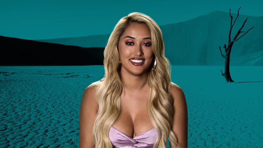'Challenge' Cast: Meet the Vets and Rookies of Season 33