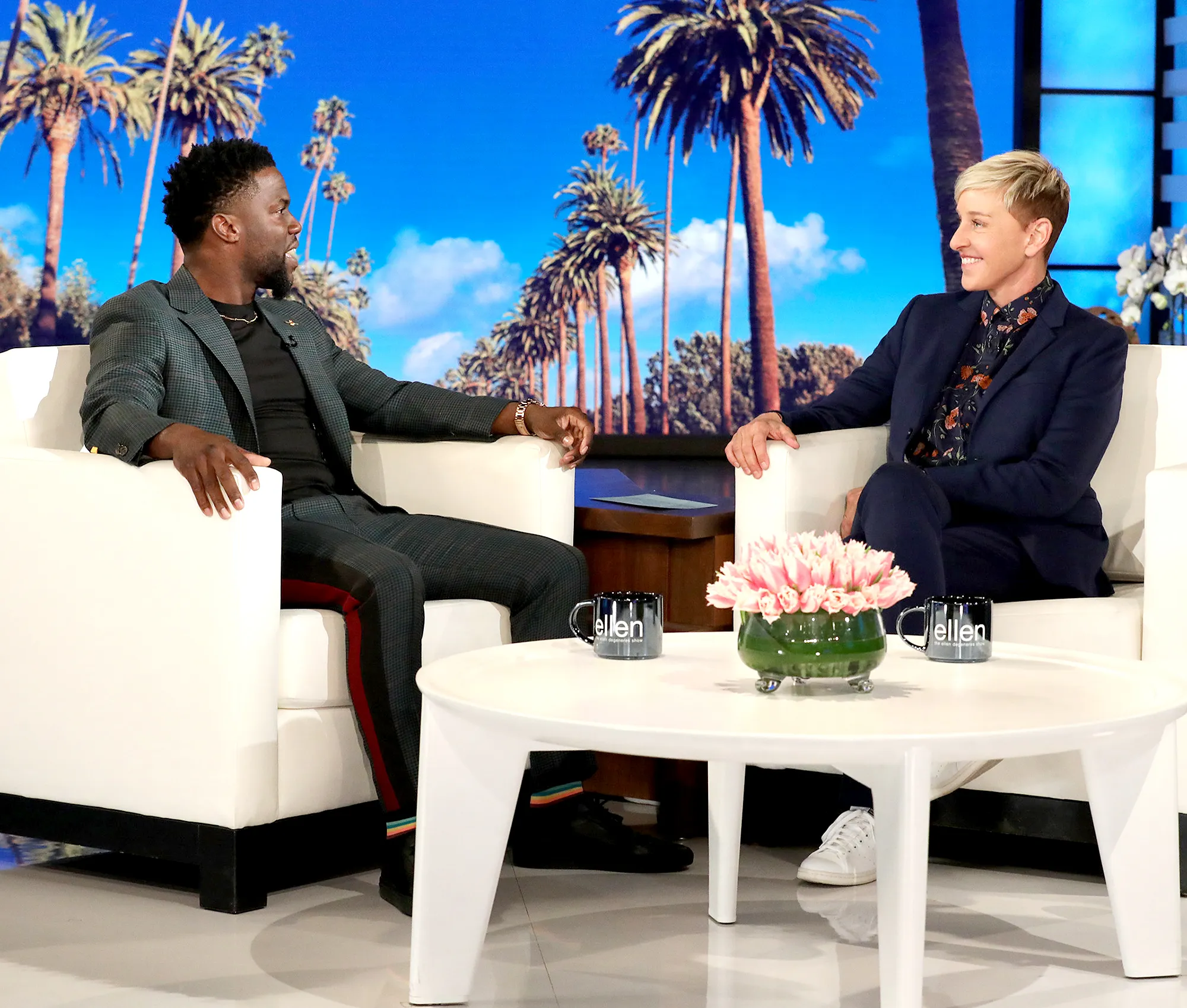 Ellen-DeGenres-Urges-Kevin-Hart-to-Reconsider-Hosting-the-Oscars