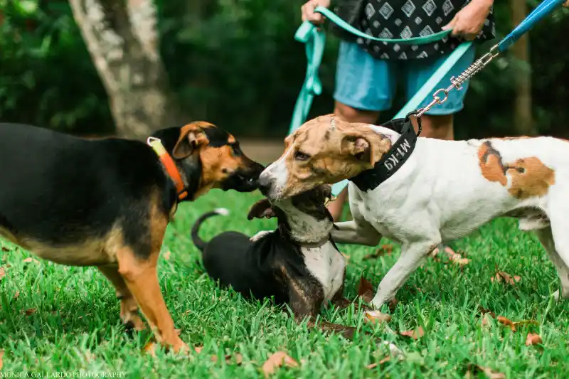 This Is Us’ Jon Huertas Takes Us Inside His Kindly Trip to Belize