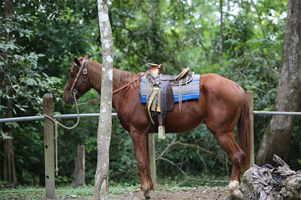 This Is Us&rsquo; Jon Huertas Takes Us Inside His Kindly Trip to Belize