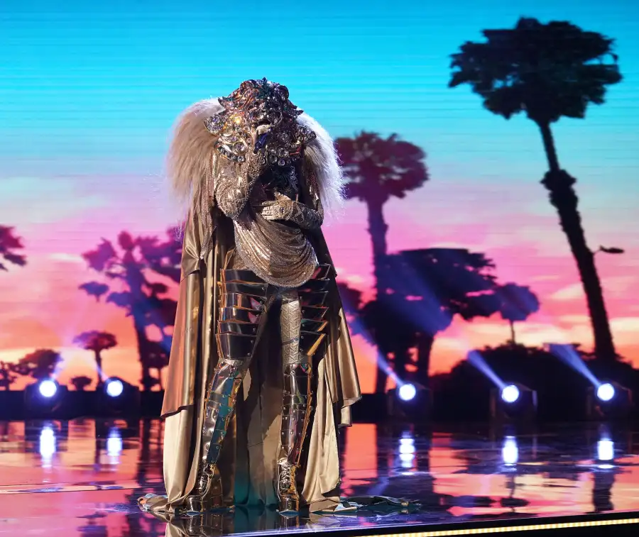 Masked Singer Gallery Recap