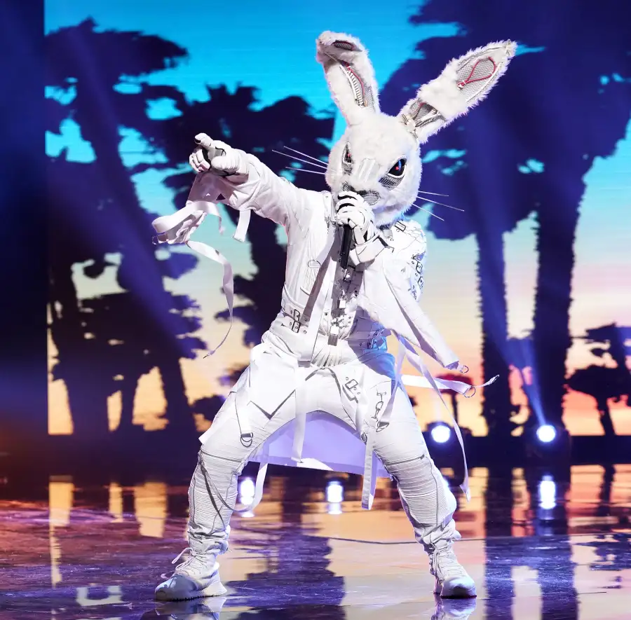 Masked Singer Gallery Recap