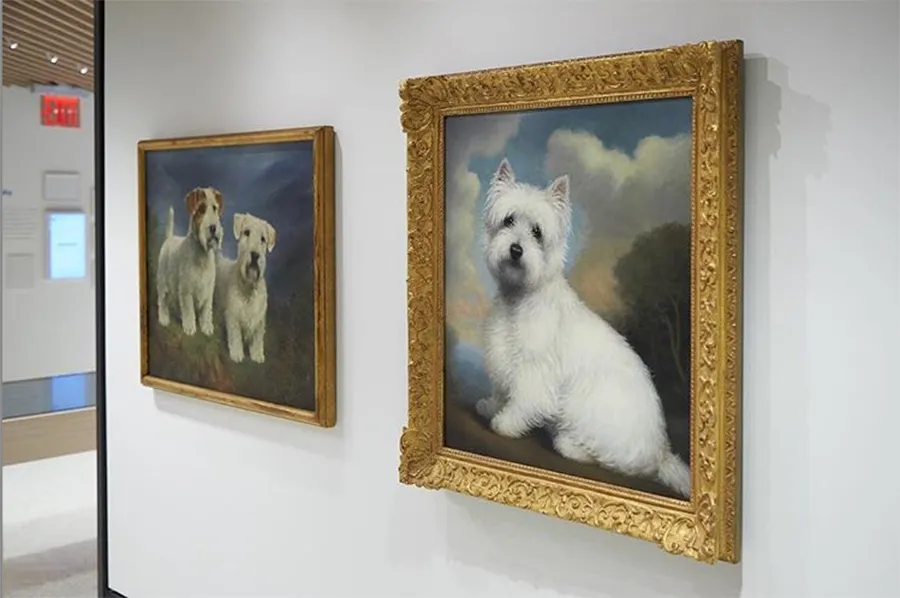 american kennel club museum