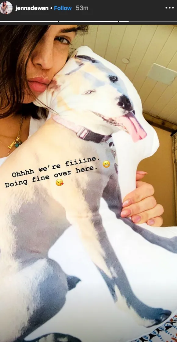 jenna-dewan-late-dog-pillow