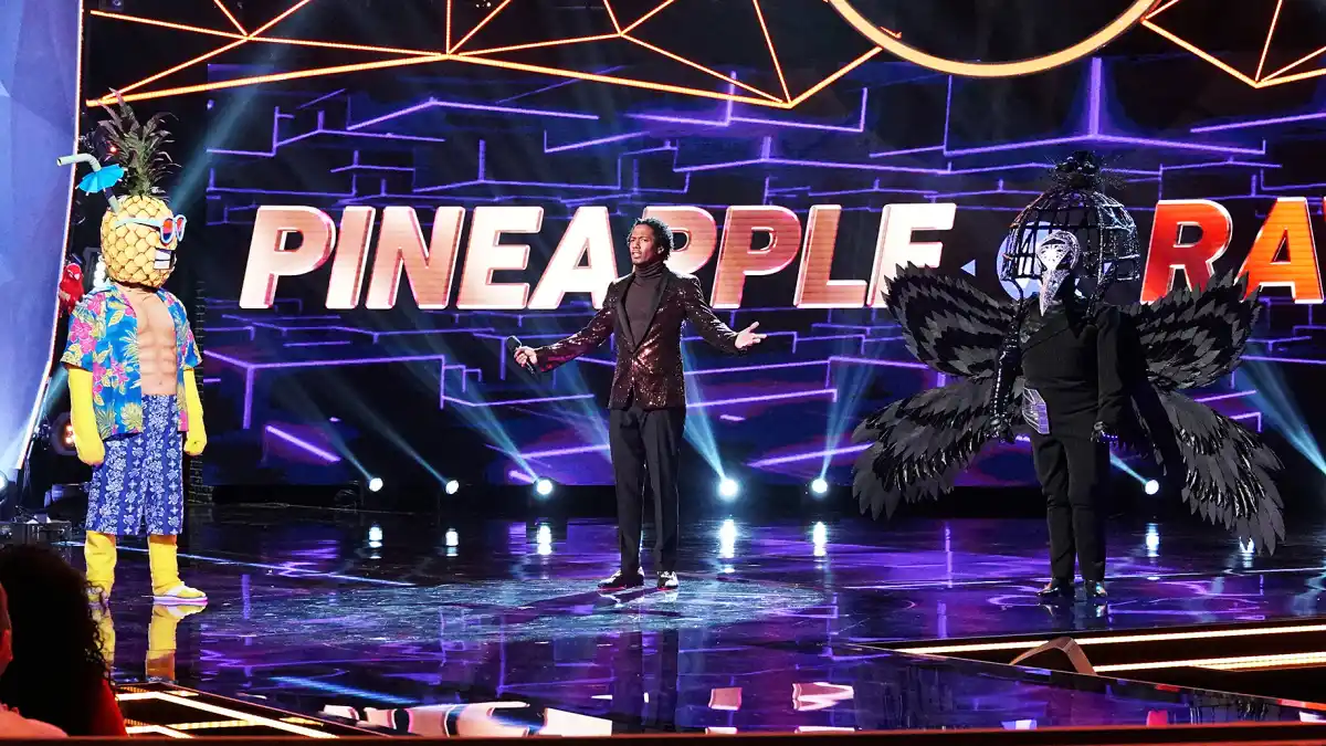 what-are-the-masked-singers