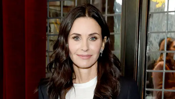Courteney-Cox-Plane-Emergency-Landing