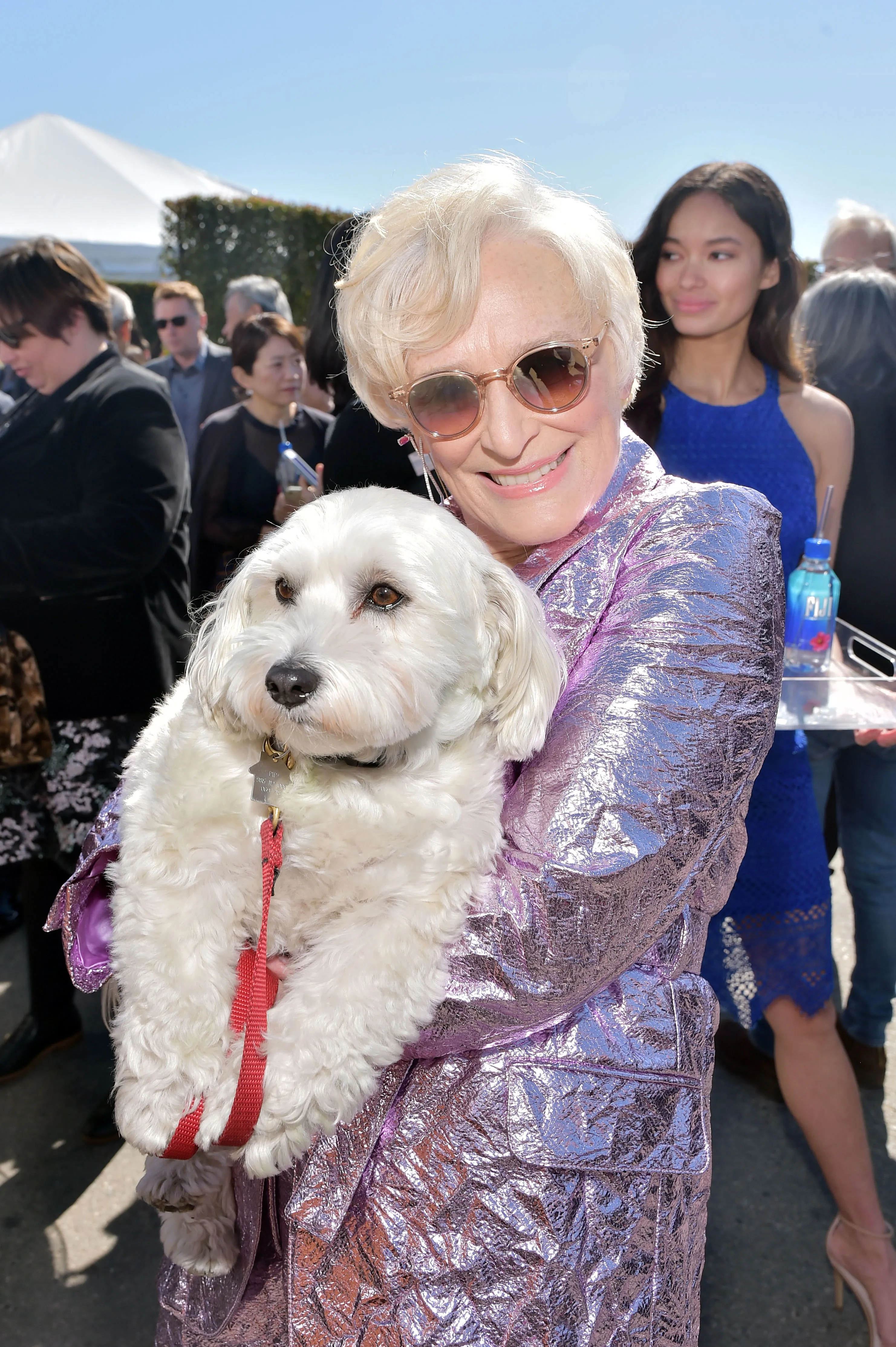 Glenn Close’s Dog Joins Her on Stage as She Wins Independent Spirit Award