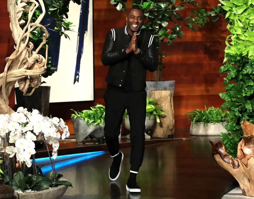 Idris Elba Explains How He Landed Royal DJ Duties at Prince Harry and Duchess Meghan's Wedding