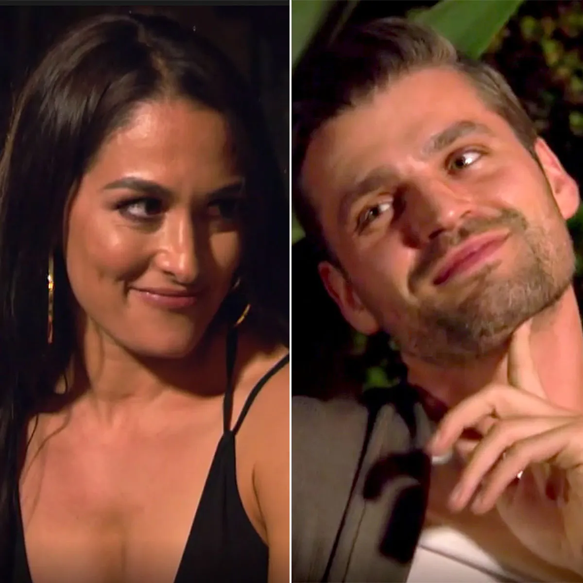 Nikki Bella Leaves Sweet Comment on Peter Kraus Instagram