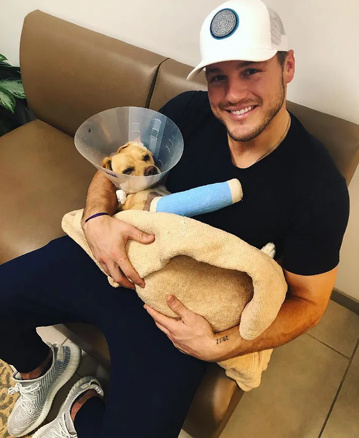 Colton Underwood Visits Rescue Dog Named After Him — Becca Kufrin Offers to Adopt the 3-Legged Pup!