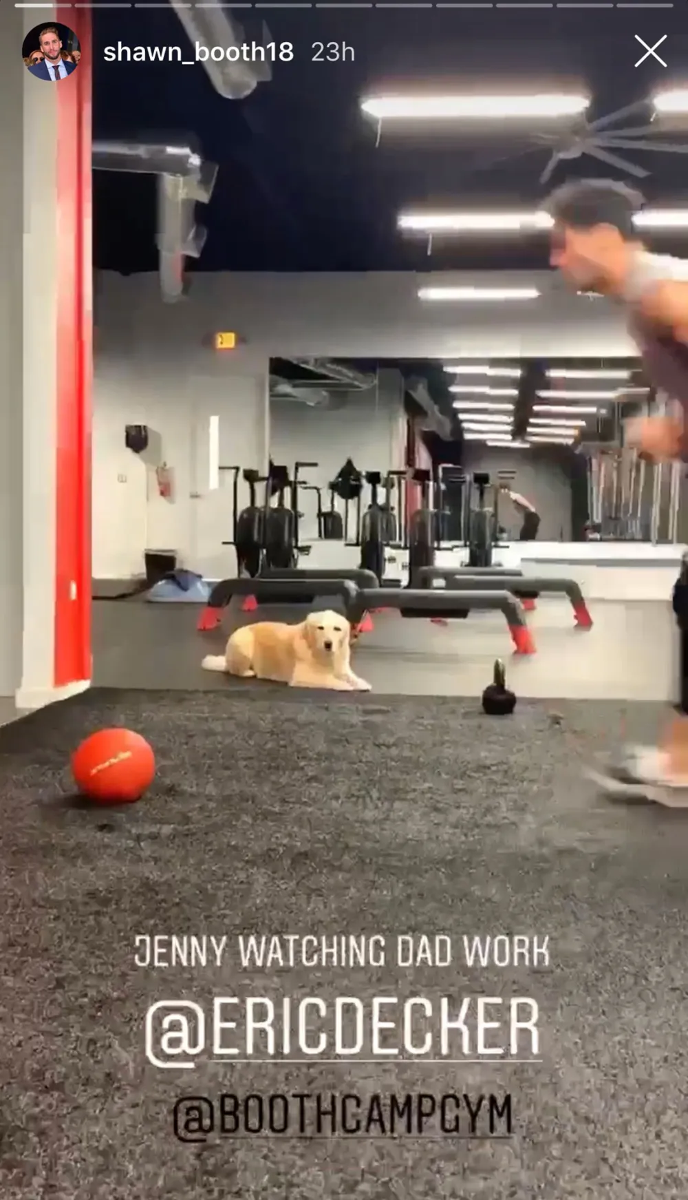 Eric Decker&rsquo;s Dog Accompanies Him to a Workout at shawn Booths gym