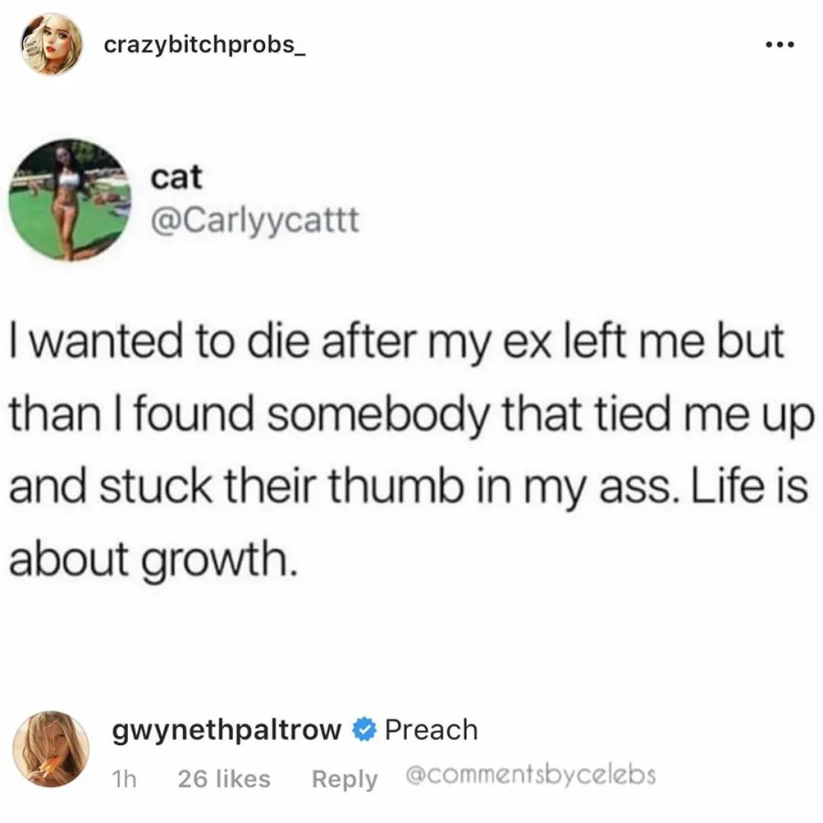 Gwyneth Paltrow's Most Cheeky Instagram Comments