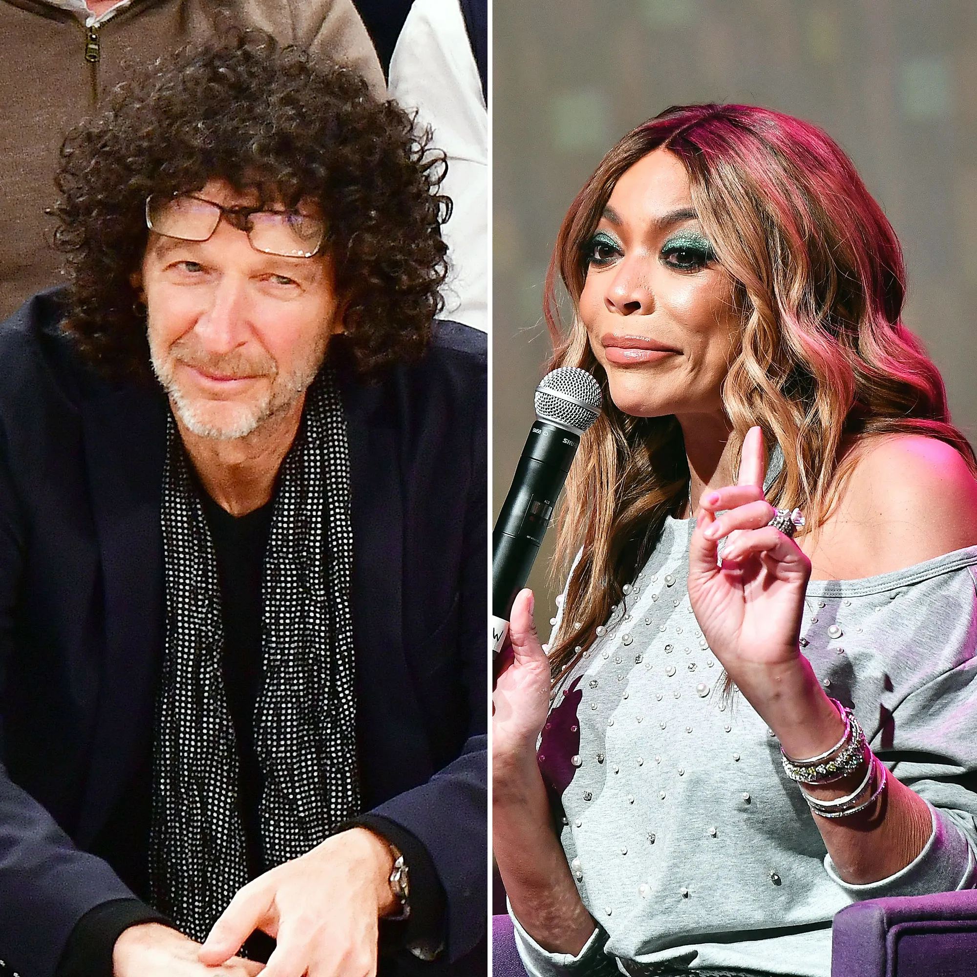Howard Stern Wendy Williams Jealous Bitch Slams Career