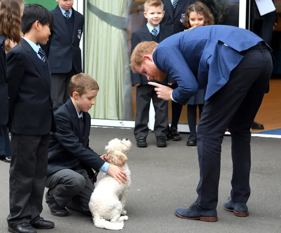 Prince Harry Bonds With Children, Plays With Winnie the Dog During Visit to St. Vincent’s Catholic Primary School