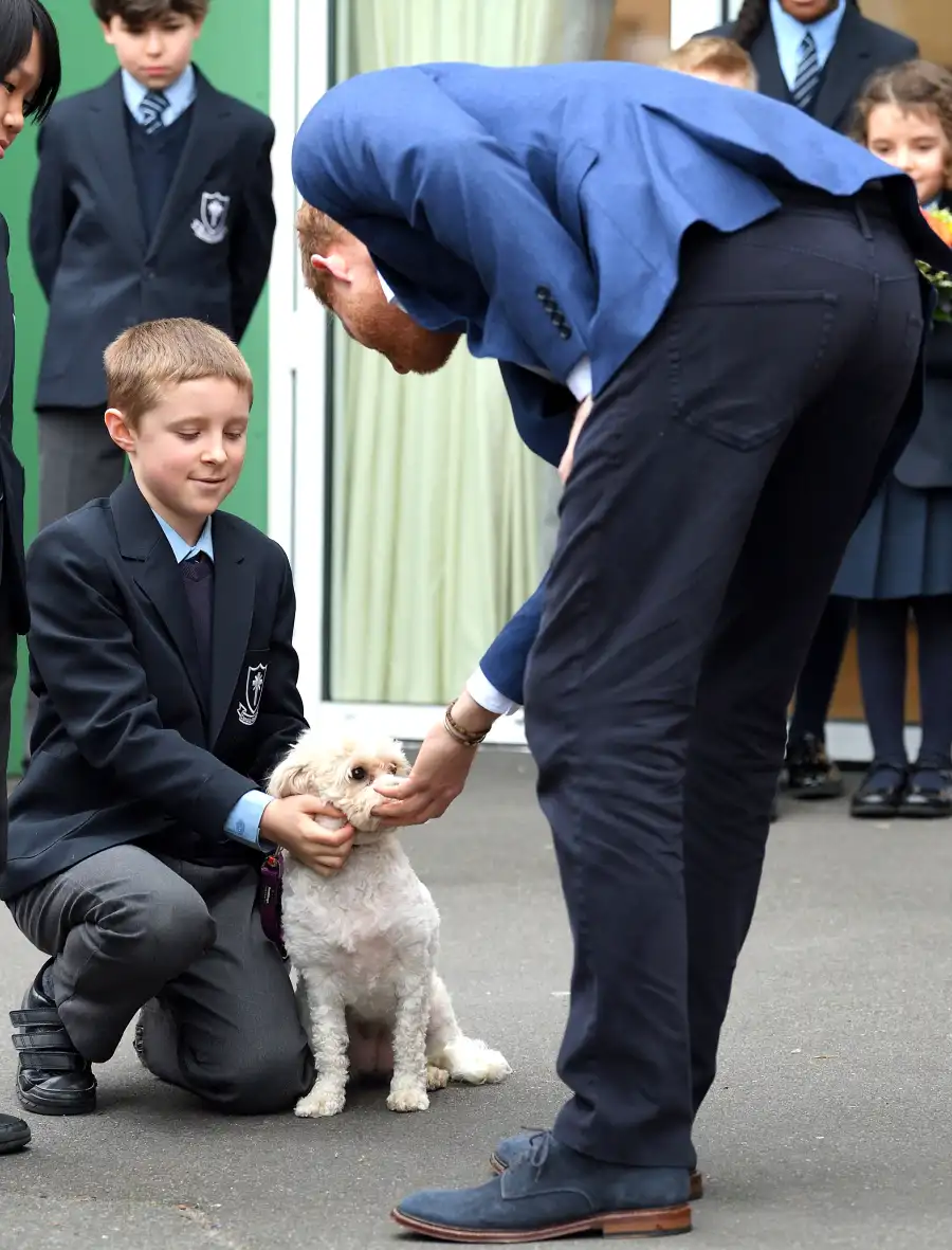 Prince Harry Bonds With Children, Plays With Winnie the Dog During Visit to St. Vincent’s Catholic Primary School