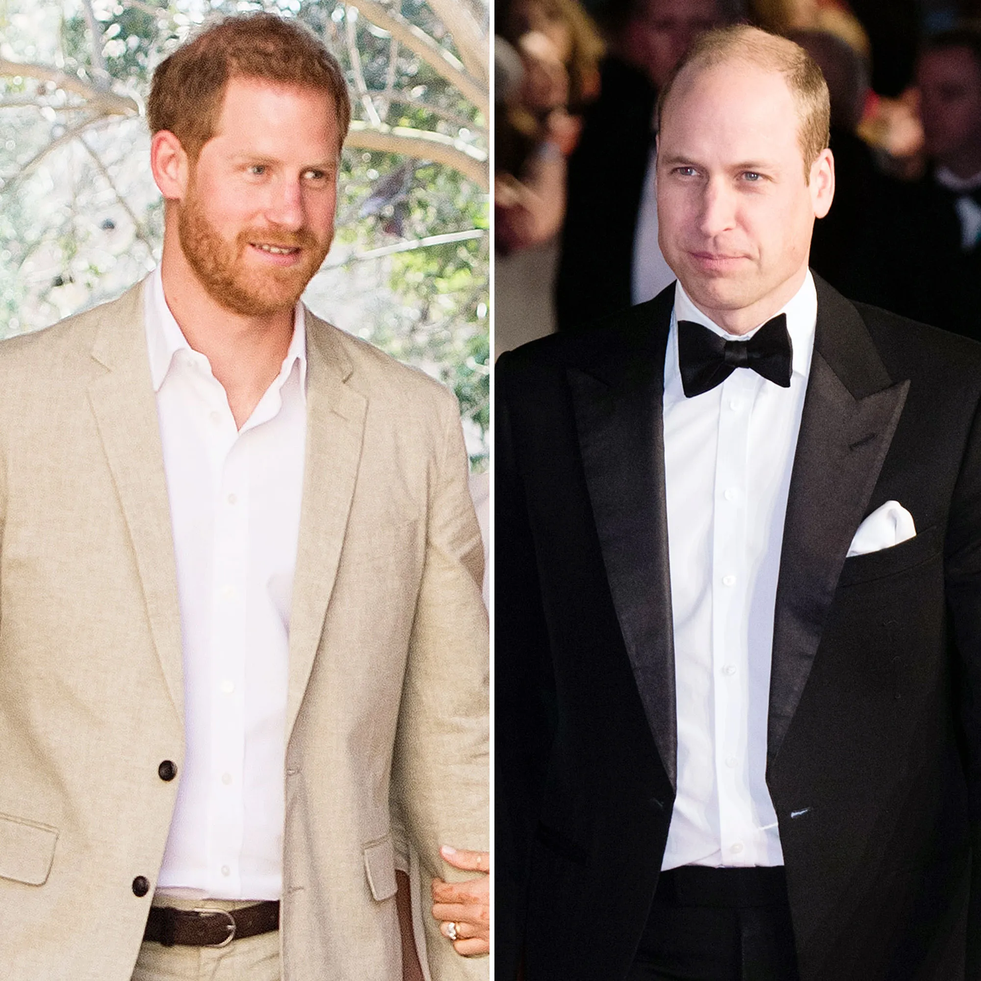 Prince Harry Prince William Split Royal Households