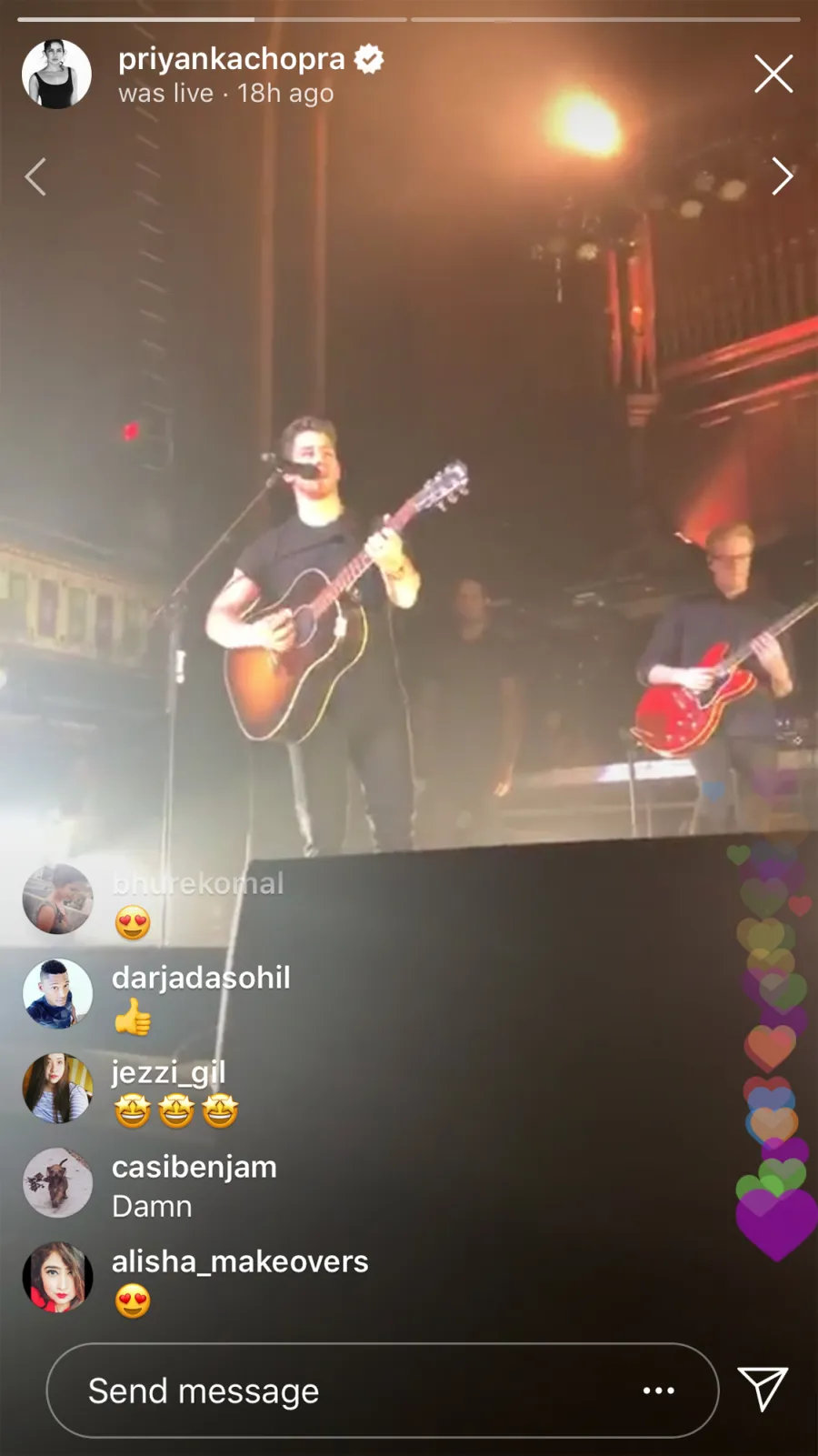 Priyanka Chopra attends her first Jonas Brothers concert