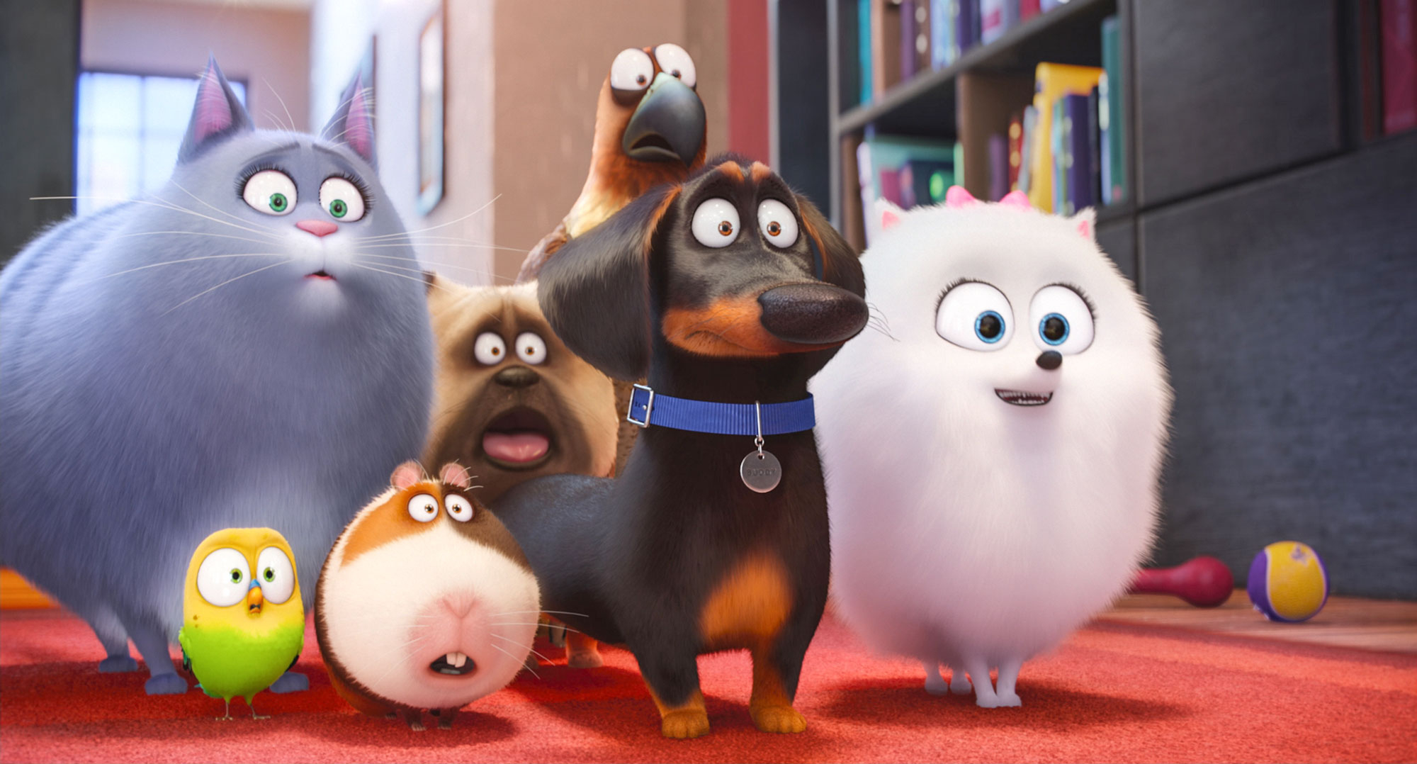 'Secret Life of Pets 2' Snapchat Filter Allows Your Dog, Cat to Come to Life