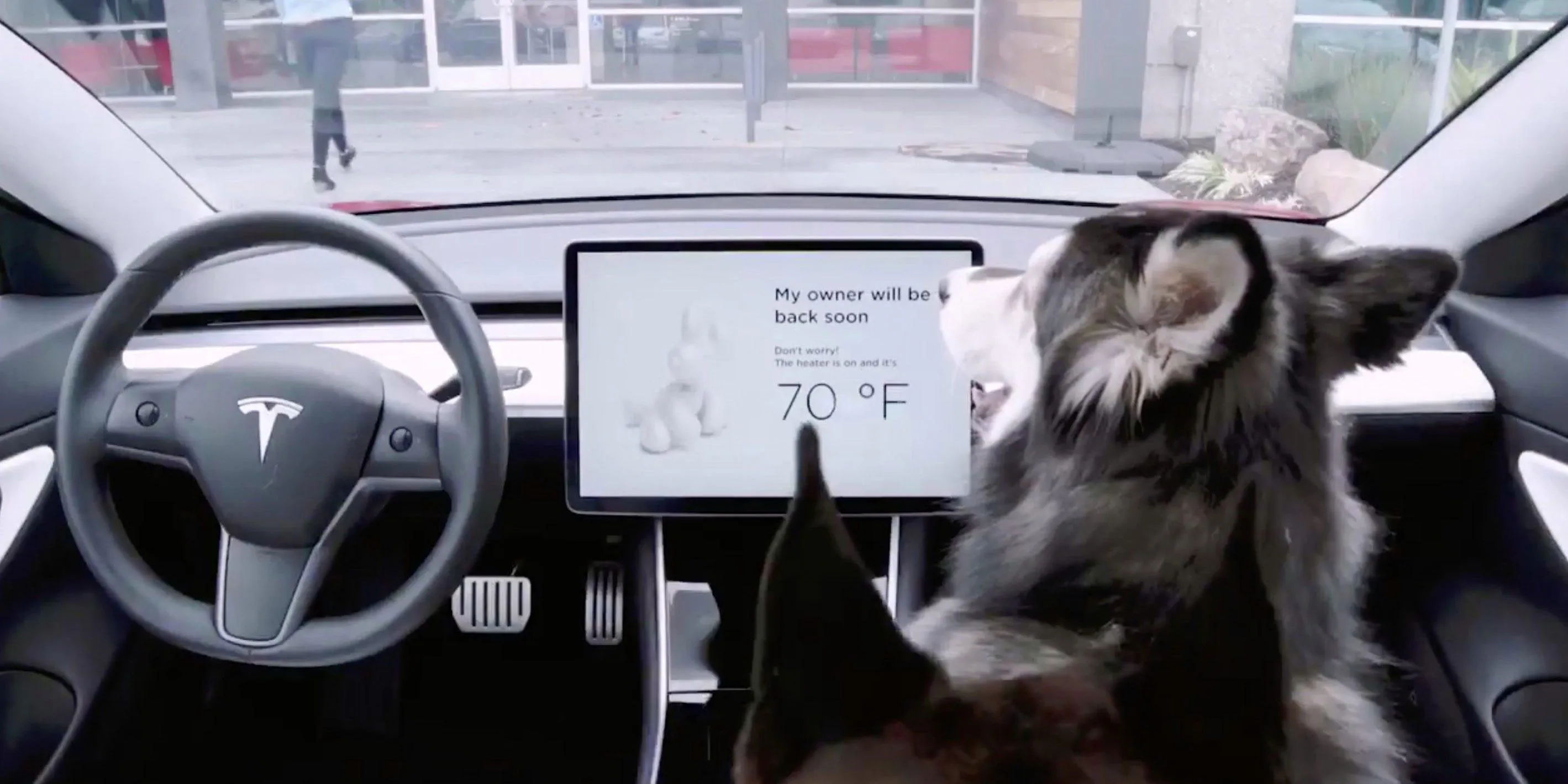 Tesla to Unveil ‘Dog Mode’ Feature That Will Allow Temperatures to Be Regulated for Pets Left in Cars