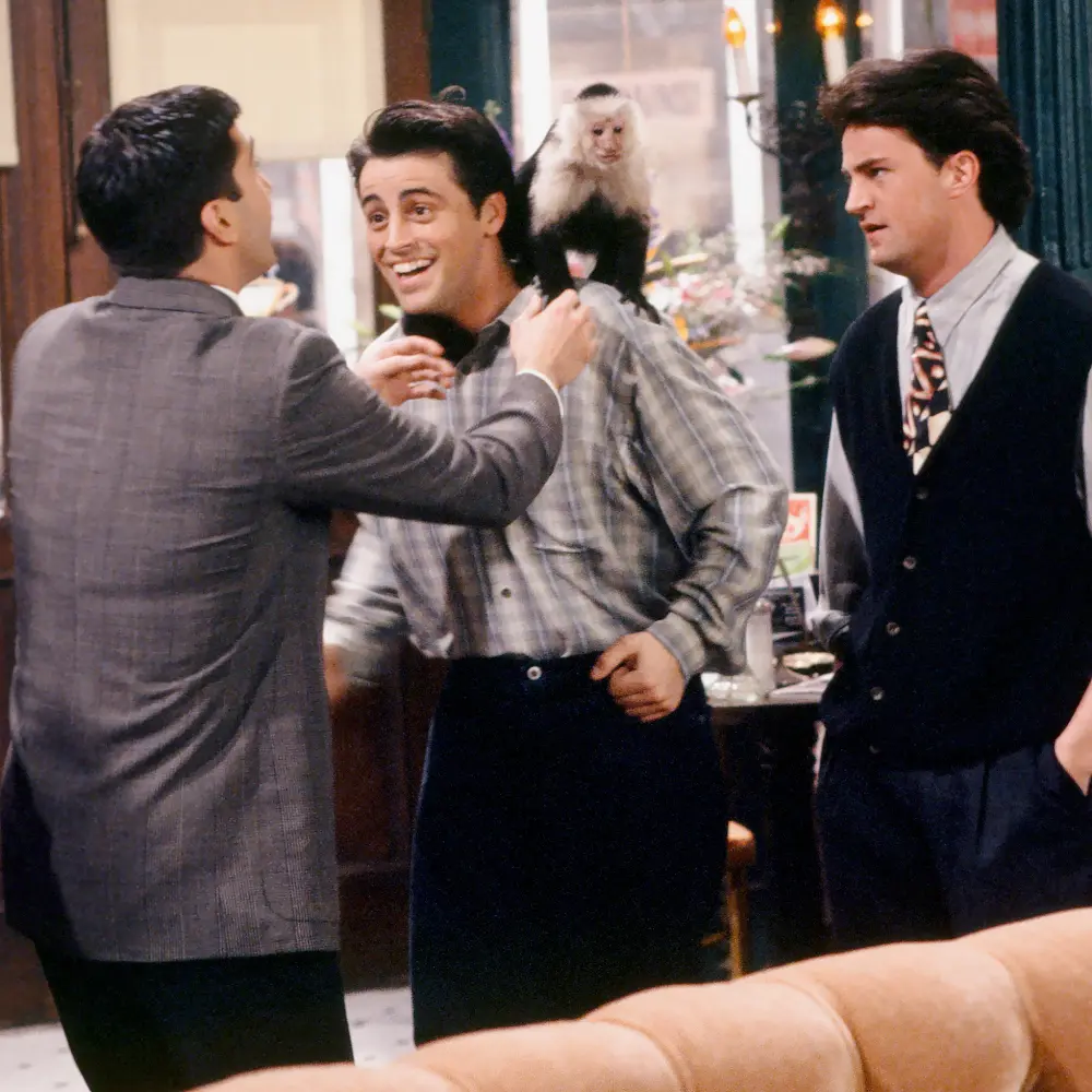 friends-monkey-marcel