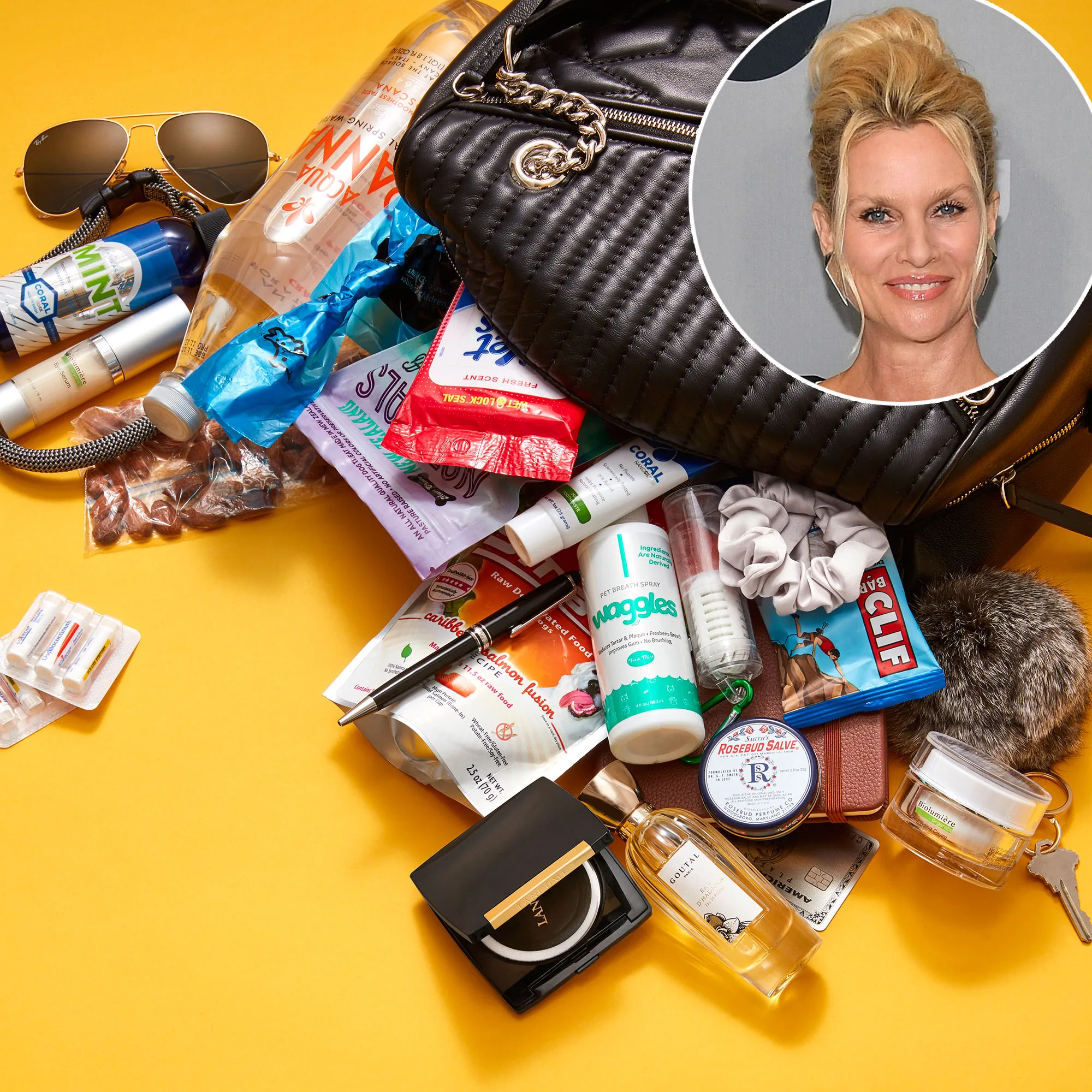 Nicollette Sheridan: What's in My Bag?