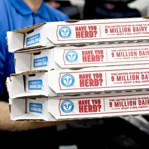 Alou-Bathily-dominos-robbery