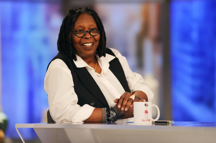 Every ‘The View’ Cohost Since 1997 Premiere: Joy Behar, Barbara Walters, Whoopi Goldberg and More