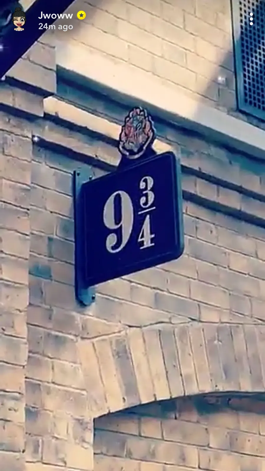 JWoww’s ‘Jersey Shore’ Pals Show Support for Her New Boyfriend As They Visit Harry Potter World SnapChat