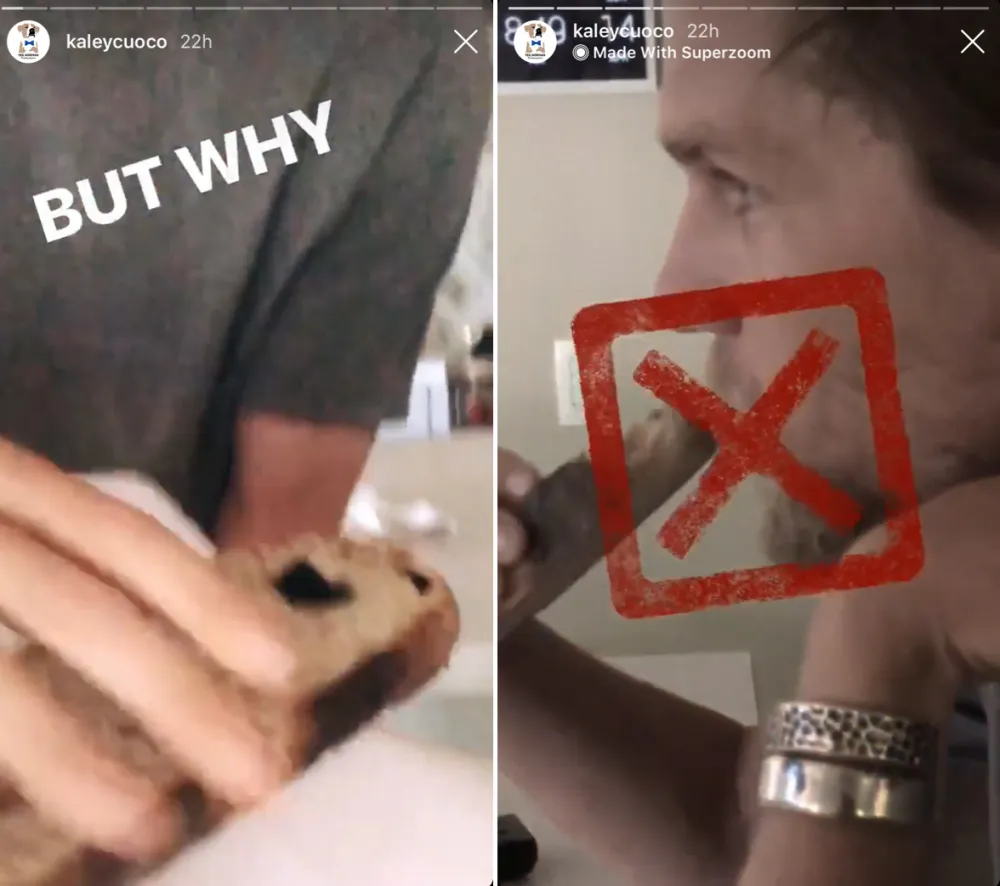 Kaley-Cuoco-Karl-Cook-gross-food