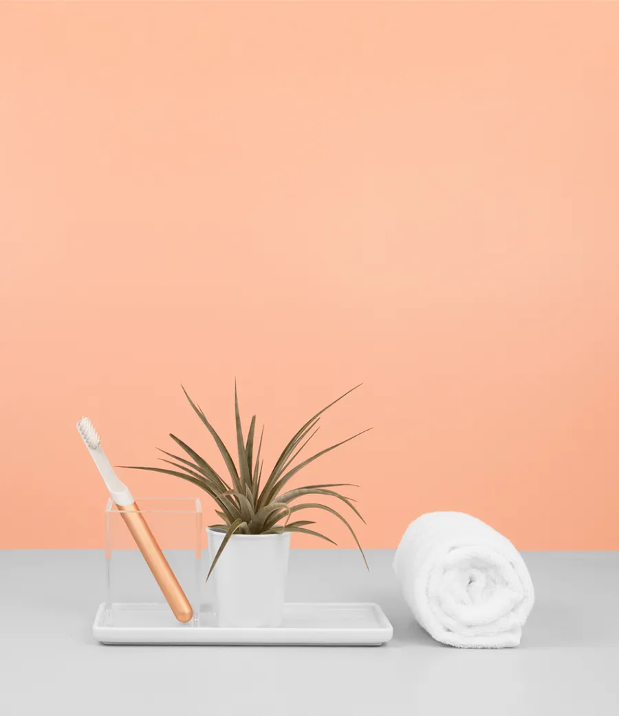 Quip-Electric-Toothbrush-Set