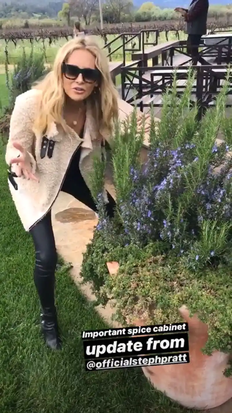 Stephanie Pratt and Derek Peth in Napa