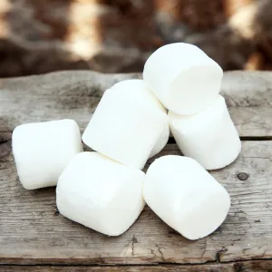 Chocolate-Stuffed Marshmallows