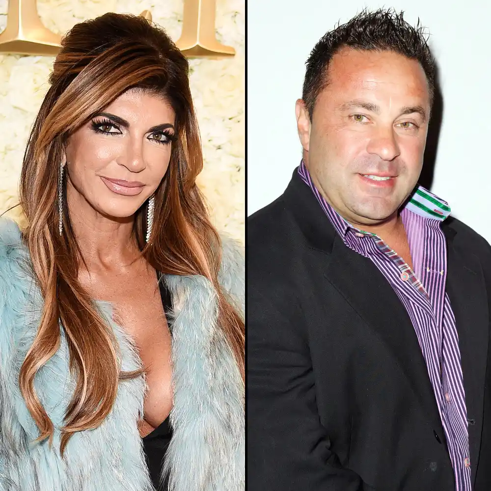 Teresa Giudice Husband Joe Giudice Deportation Appeal Denied