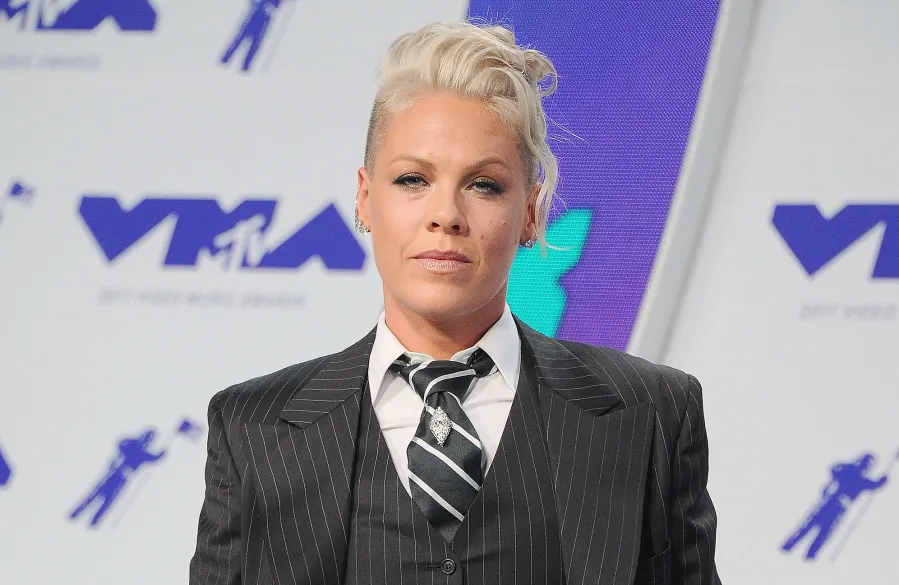 All of the Times Pink and Carey Hart Have Clapped Back on Social Media