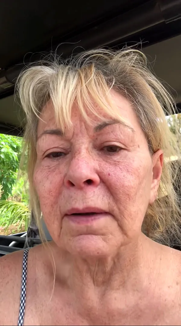 Roseanne Barr Announces She's Queer