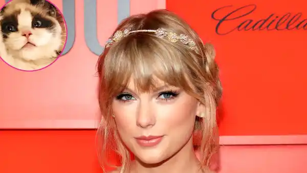 Taylor Swift New Cat