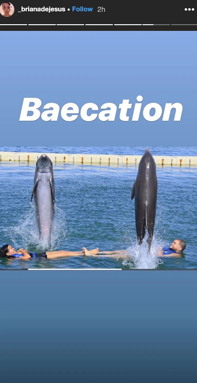 Briana DeJesus Anniversary Dolphins