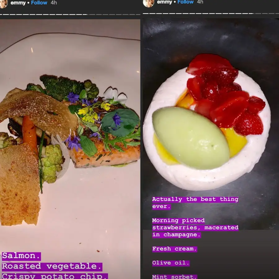 Emmy Rossum Stars Show Off Their Memorial Day Eats