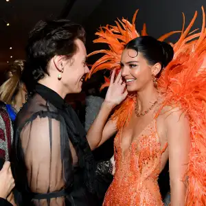 Harry Styles and Kendall Jenner Exclusive 2019 Met Gala