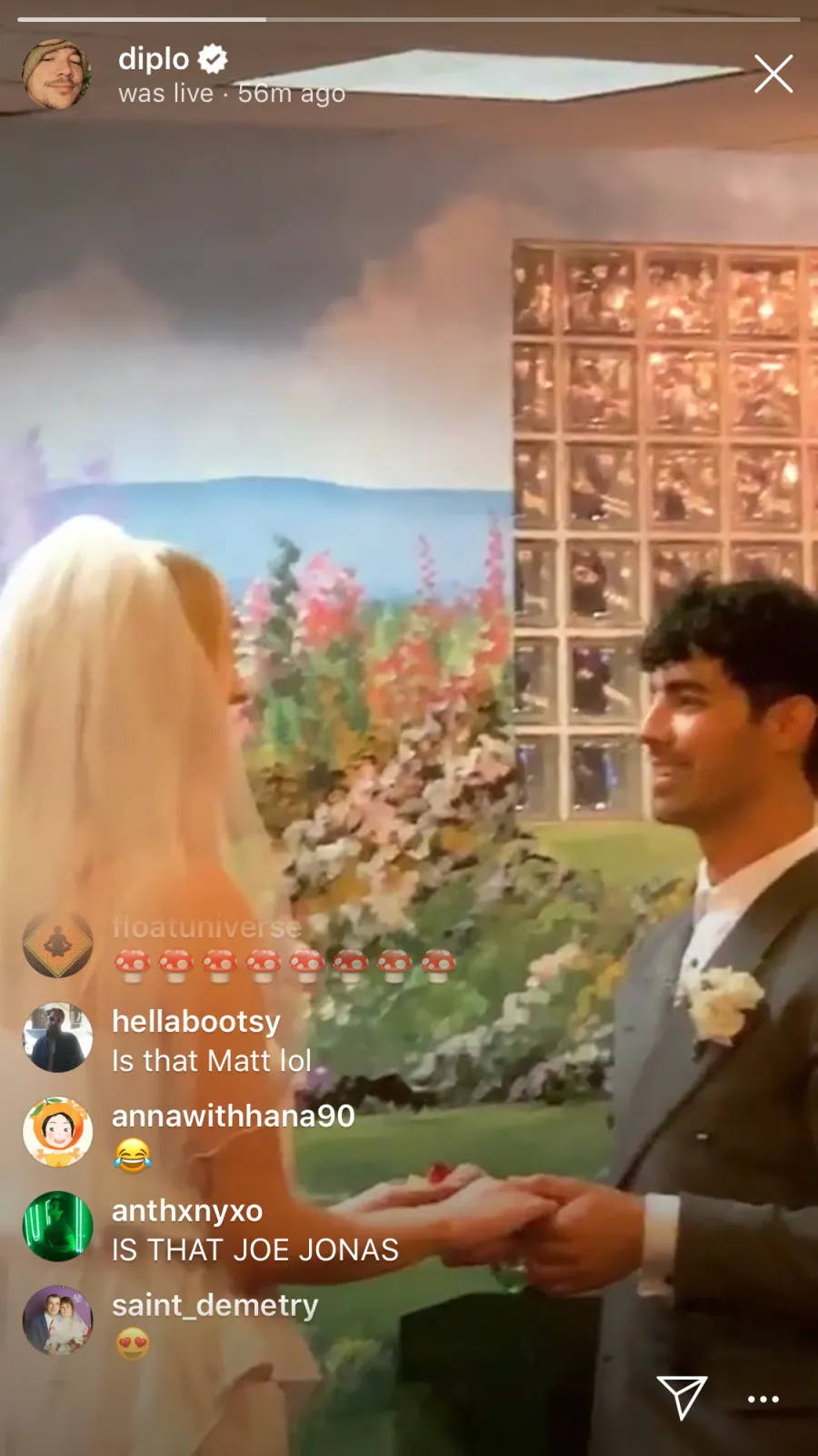 Joe Jonas, Sophie Turner Wed in Surprise Vegas Wedding