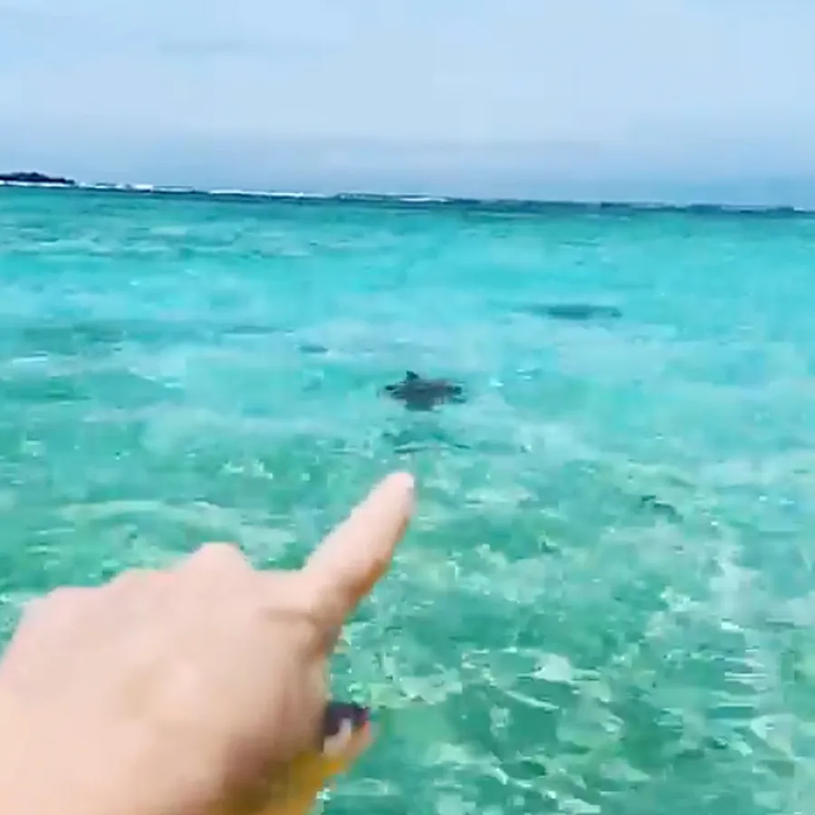 Inside The Bachelor’s Lauren Bushnell’s Tropical Vacation With Chris Lane