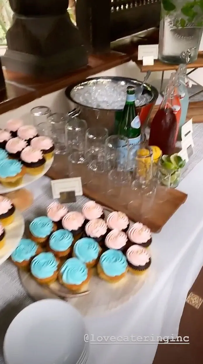 Johnny Galecki Alaina Meyer Gender Reveal Party