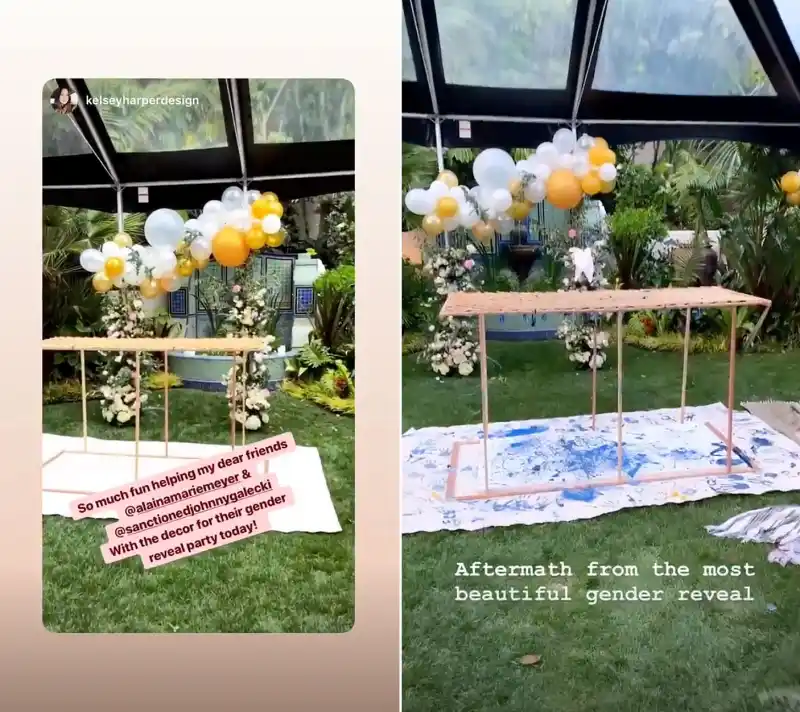 Johnny Galecki Alaina Meyer Gender Reveal Party