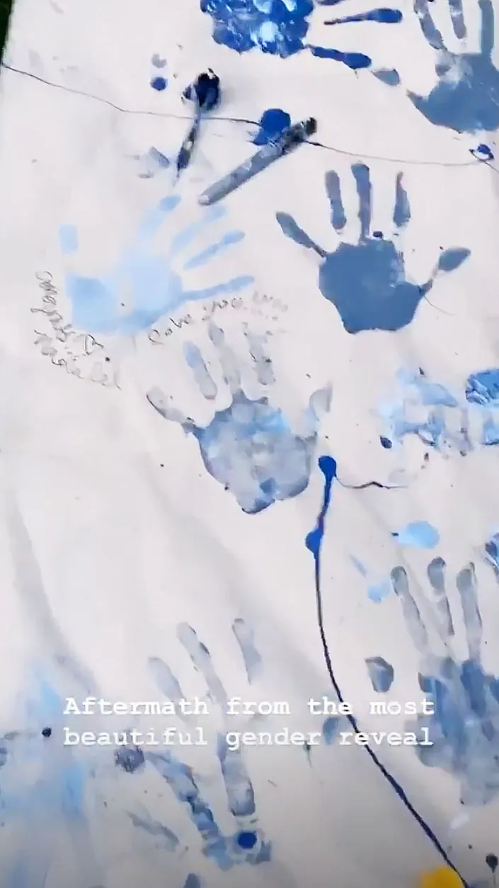 Johnny Galecki Alaina Meyer Gender Reveal Party