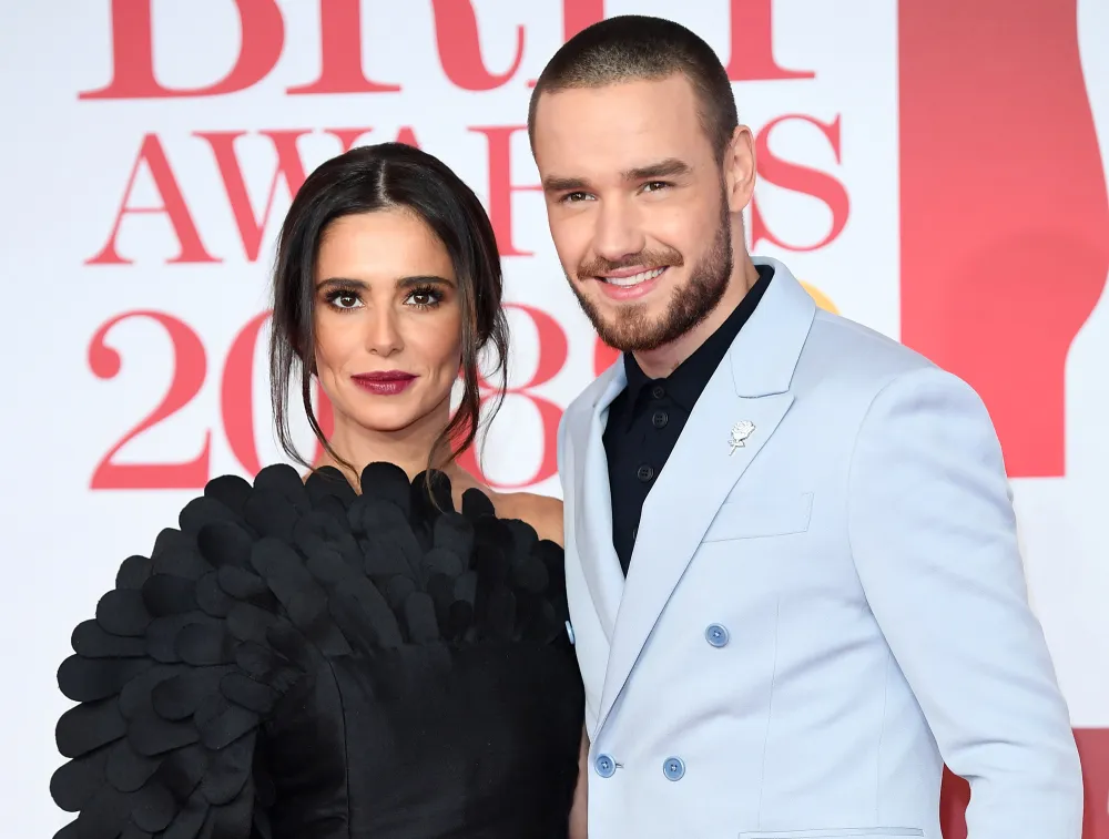 Liam Payne Coparenting Cheryl Cole