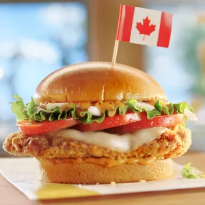 McDonald's International Dishes