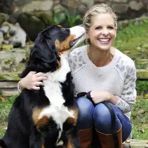 Sarah Michelle Gellar Dog Bella Dead