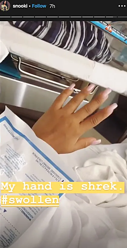 Snooki Compares Her Postpartum Body to Shrek