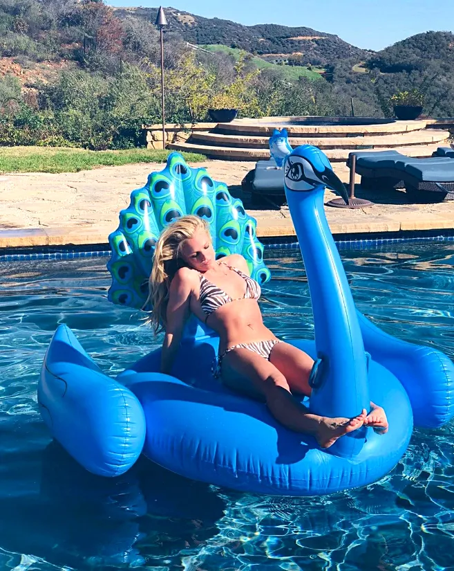 Britney Spears Lounges Zebra-Print Bikini Clapping Back Trolls
